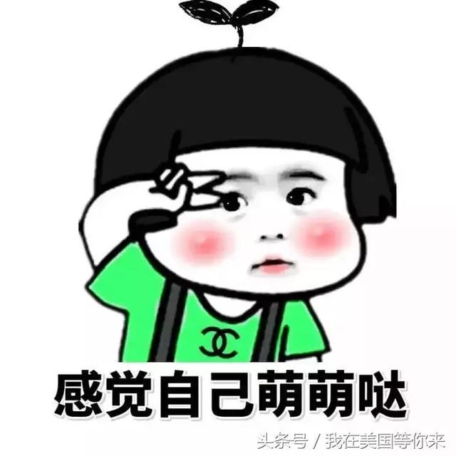 1dc90001ff30e7fd9252