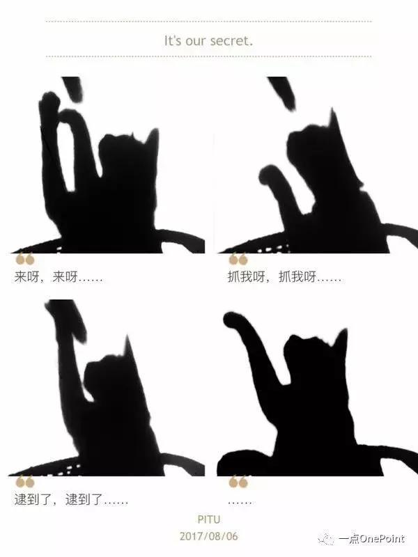 3f25000281b4d2df1b7e