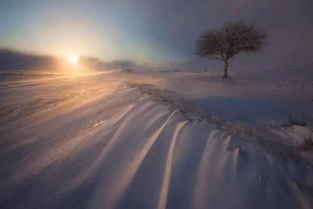 3ece00033d4980ab136f