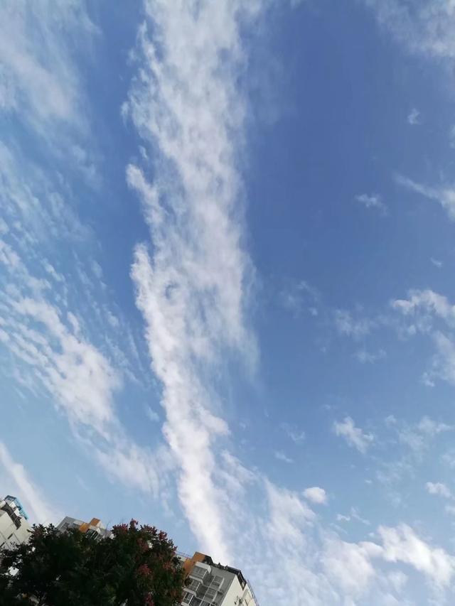 3f2700035239c0a80409