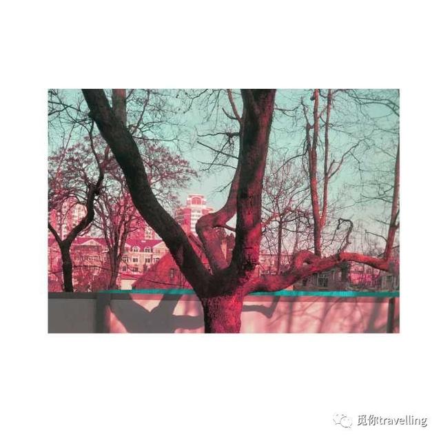 3f280002f4dfde5c9dc3