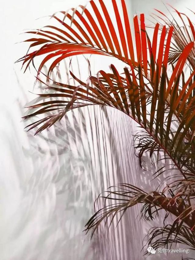 3f290002f4578157fb12