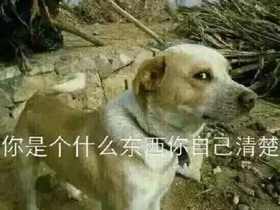 3e6000025e4fc79808dc