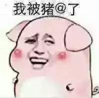 3e6300028ed9ff02a434