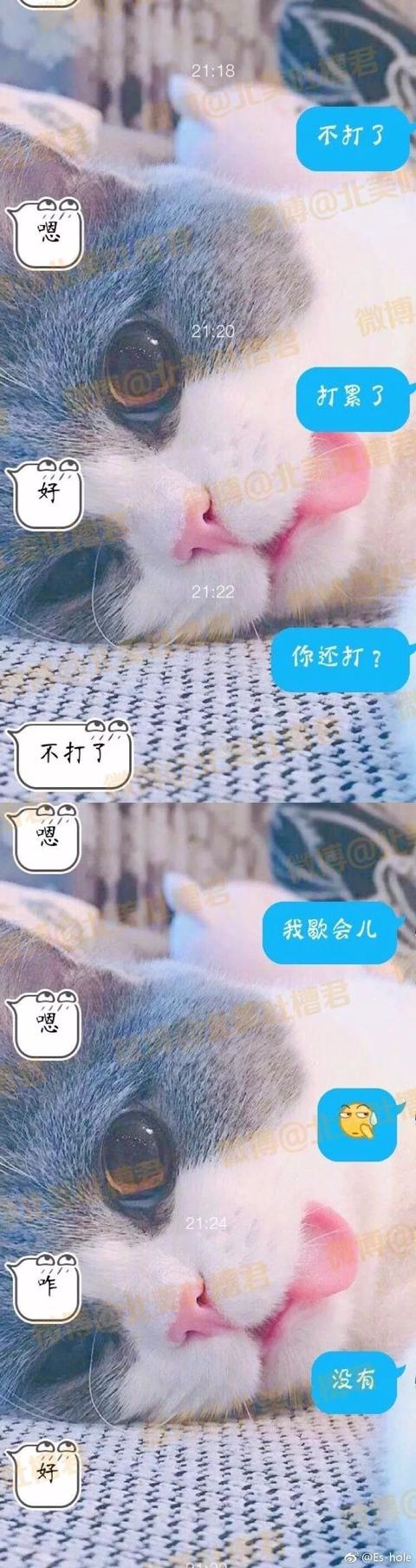 31880007673aef5ad998