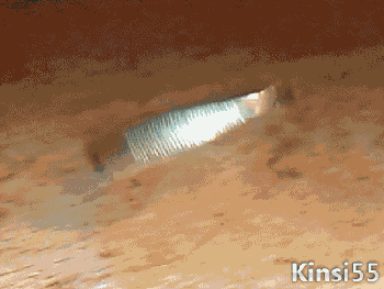 3c680001008b3325cf0f