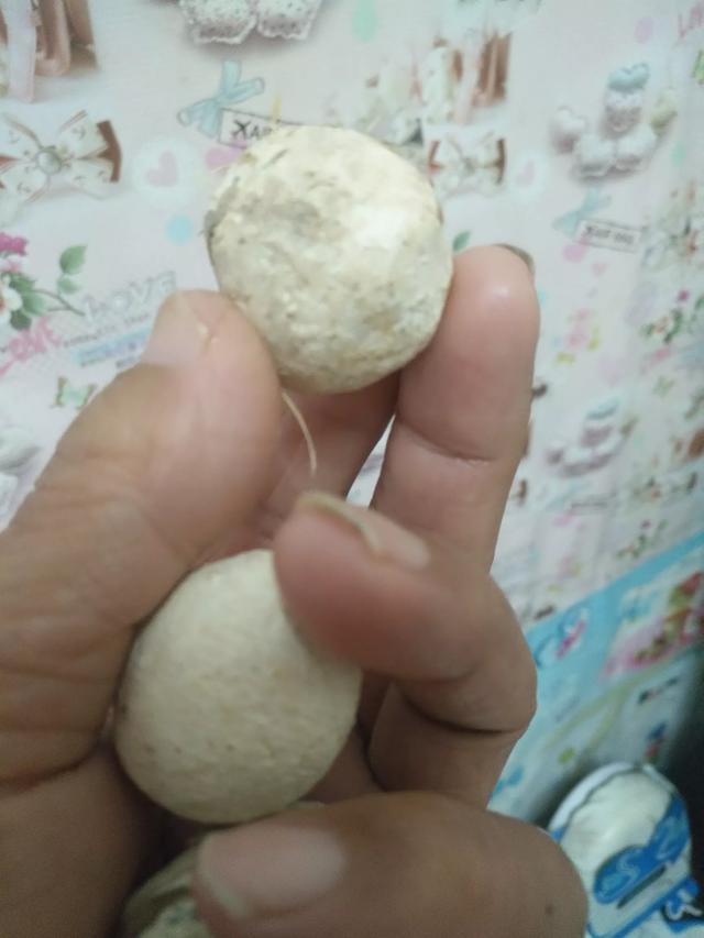 dd0000b540bbd0cbc5f