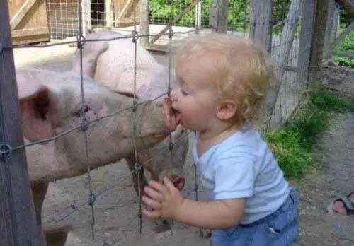 3c68000222e288cefbf4