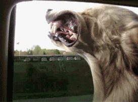 40080001c1314aee9e31