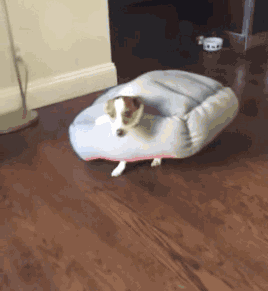 40070004023c87cfbf3c