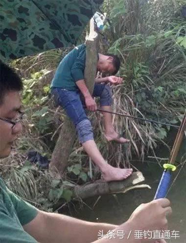 3f270002b8715cb17ddf