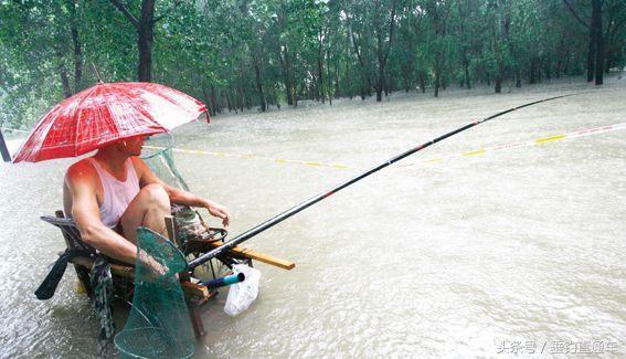 3f2d000085f80d59658c