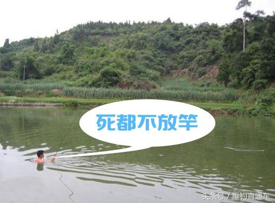 3f290002b0b1f5acf883