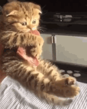 400c0003a7fc2f4ca35d