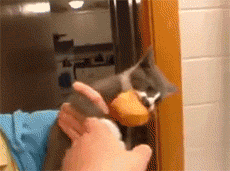 400c0003a809fd65df13