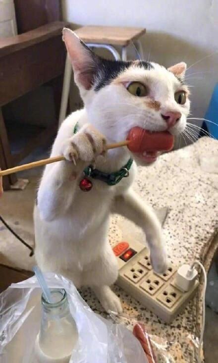 400d000359858827487c