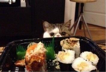 400d00035995fdc30ab0