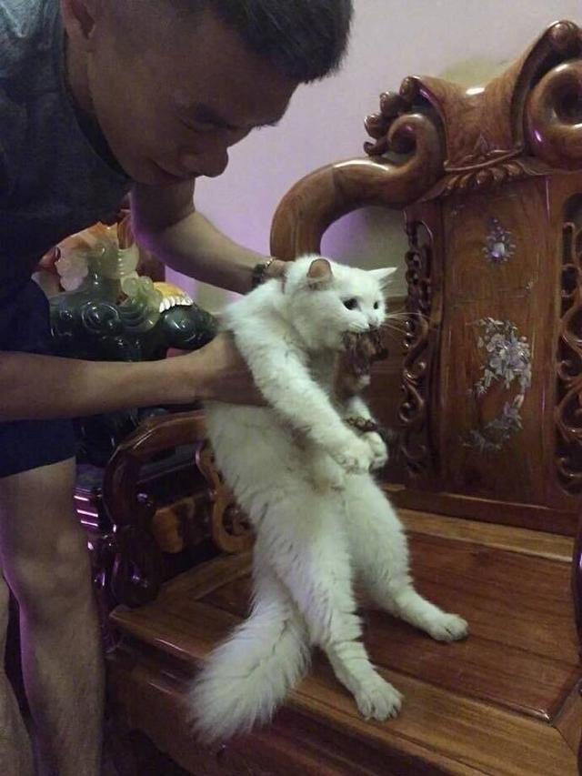 400c0003a7ff164276d4