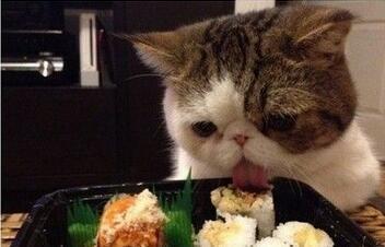 40110000c8bcabb31ab0