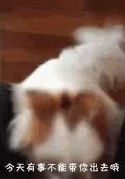 401a000202803752302c