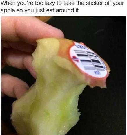 403d000344b4ef8eaf75