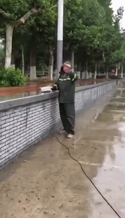 403700020906181b4c4c