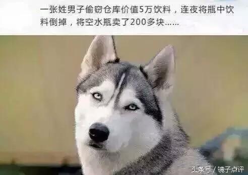 e8f0007ea0e0927a29a