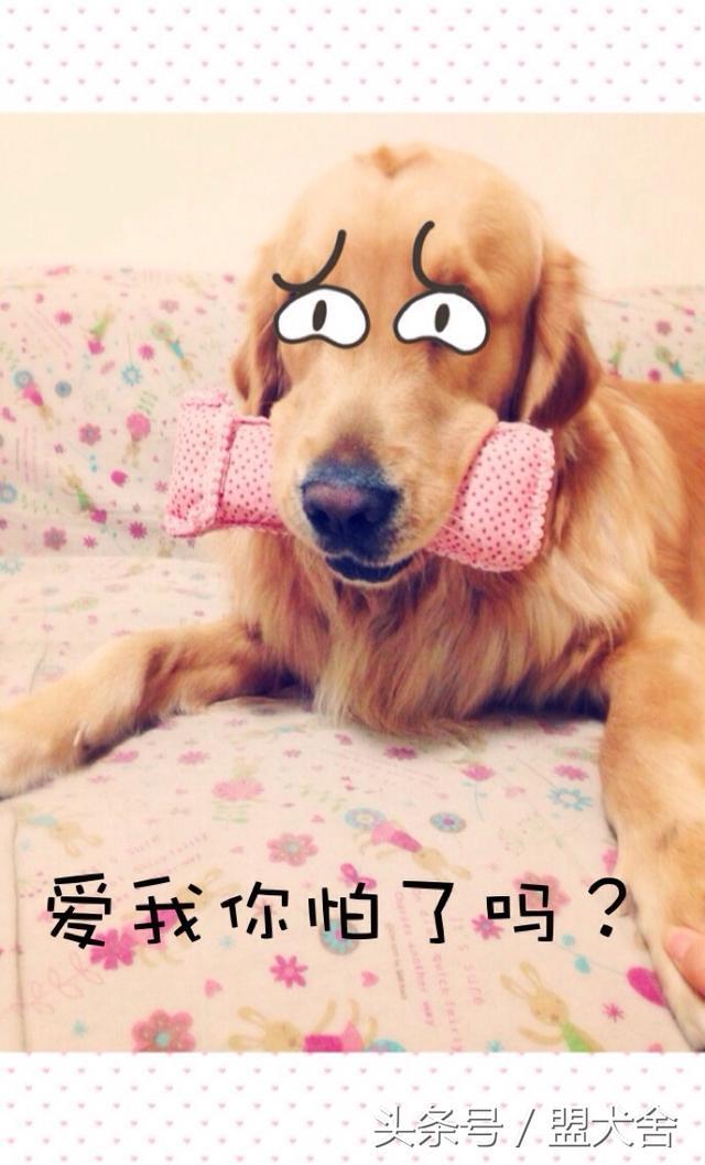 4354000260f00643c828