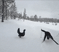 435d0004013fbcd7636a