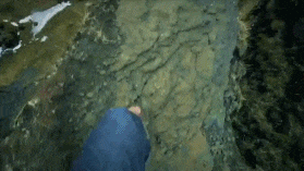 4014000323f70cab6329