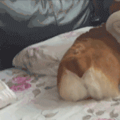 435900038ef87e7a334b