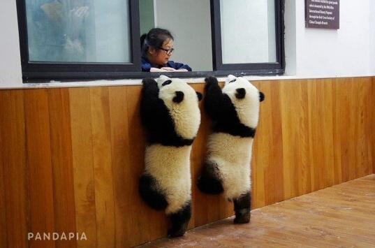 435f0003ad6d4d6d58c3