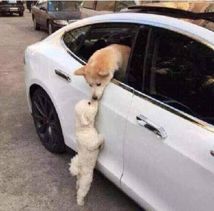 435c0003c88f79ddc11f