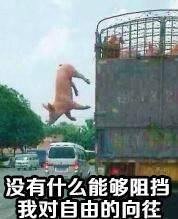 43600002492e2322b1d3