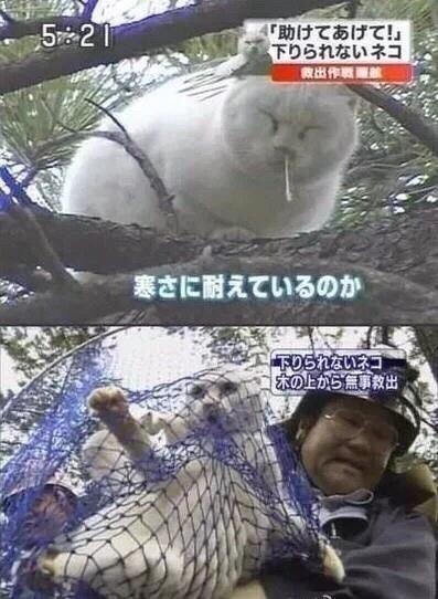 435b0003e46336efc044