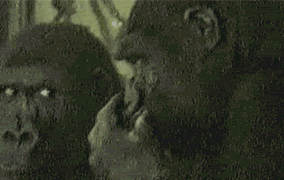 435900043ad0f9f159b9