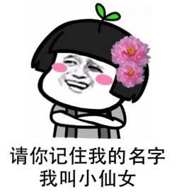 43740002d65a92944de8