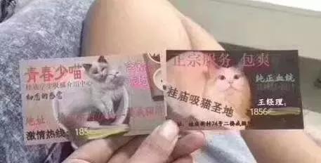 46f9000036cbcd60bb36