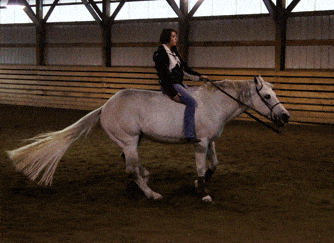 46f60005aba06efff64f