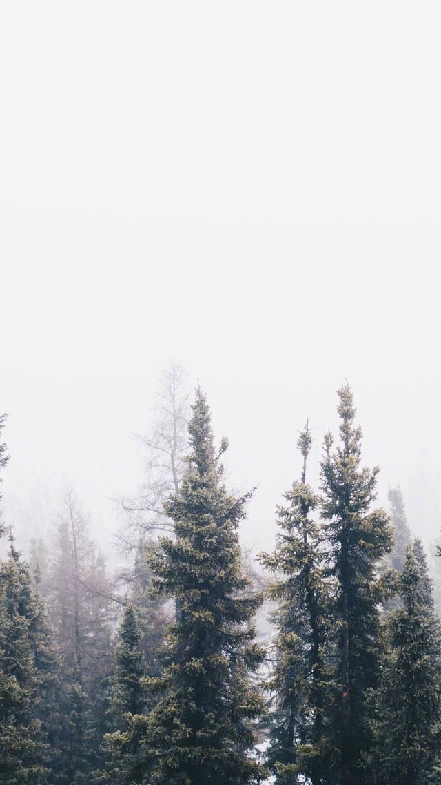 471000030a4f6823d603