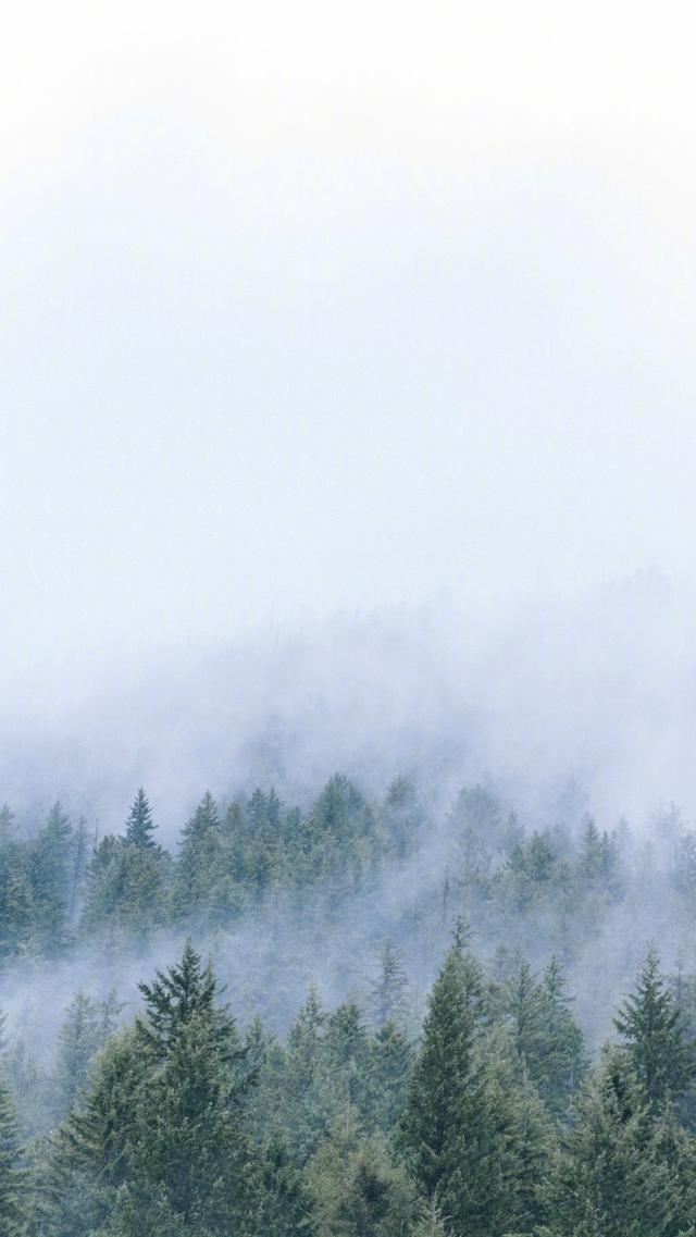 47110002c7cc9f9484a1