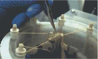 472a000188ab19535c39