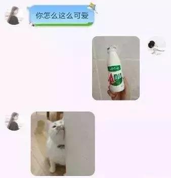 471e0004de1b8c191e2b