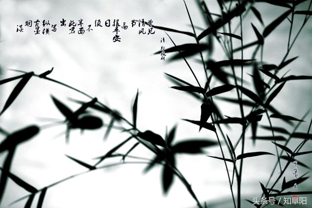 4ae20002c50899b851d1
