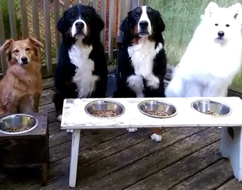 4afa00048752322c5ac8