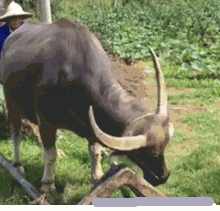 4af70004f0c73f0f9bcf