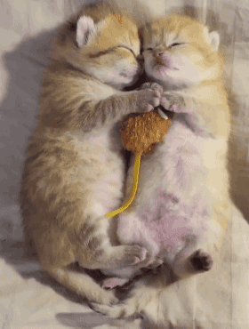 4afb0002bb74912313a1