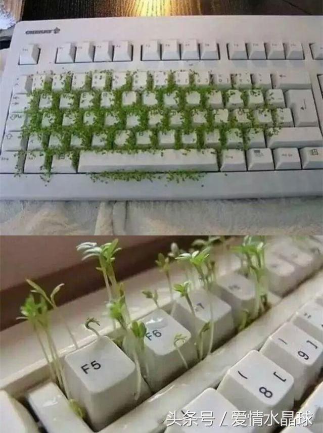 4afc0002522b6c9033c0