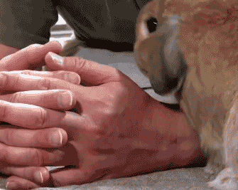 4af70004f0fa08093201