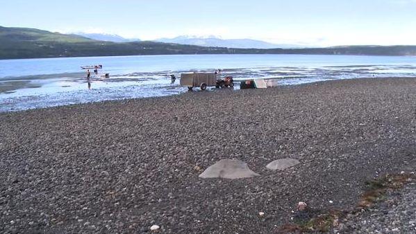 4af900049bad45d31bd2